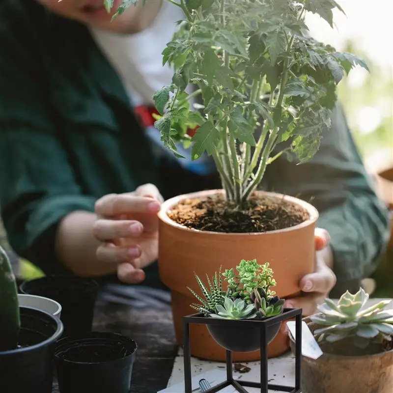 

1Pc Garden Pots Planters Fruit Tray Succulent Planter Home Flowerpot Balcony Decor Chic Plants Pot For Home Balcony Decor