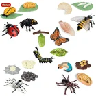 Фигурки фигурок Oenux, новые модели с циклом роста животных, имитация пчелы, паука, бабочки, милые детские развивающие игрушки