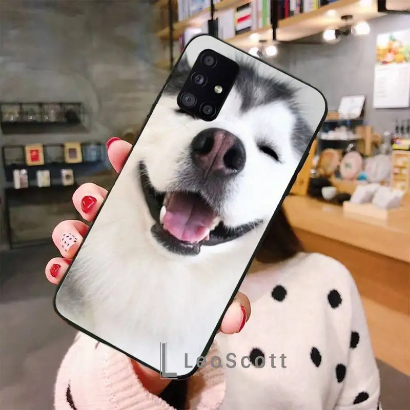 

Animal Husky cute Puppy Dog Phone Case For Samsung galaxy S 7 8 9 10 20 edge A 6 10 20 30 50 51 70 note 10 plus