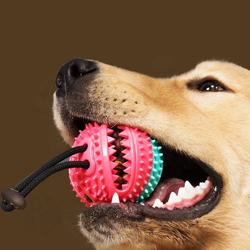 

Dog Chew Toy Small and Medium-sized Dog Interactive Game Sucker Leaking Ball Dog Toothbrush Cleaning Toy Rubber Pet Food Ball