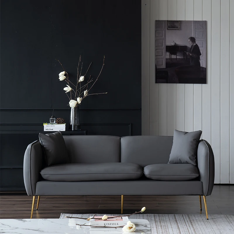 

Leather Sofa Small Apartment Living Room Nordic Light Luxury Ins Style Simple Modern Faux Leather Double Clothing Store Office