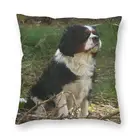 Держатель-Французский бульдог Чарльз-спаниель Наволочка на подушку размером 45*45, украшения, объемная печать, животные, подушка для автомобиля двойная сторона