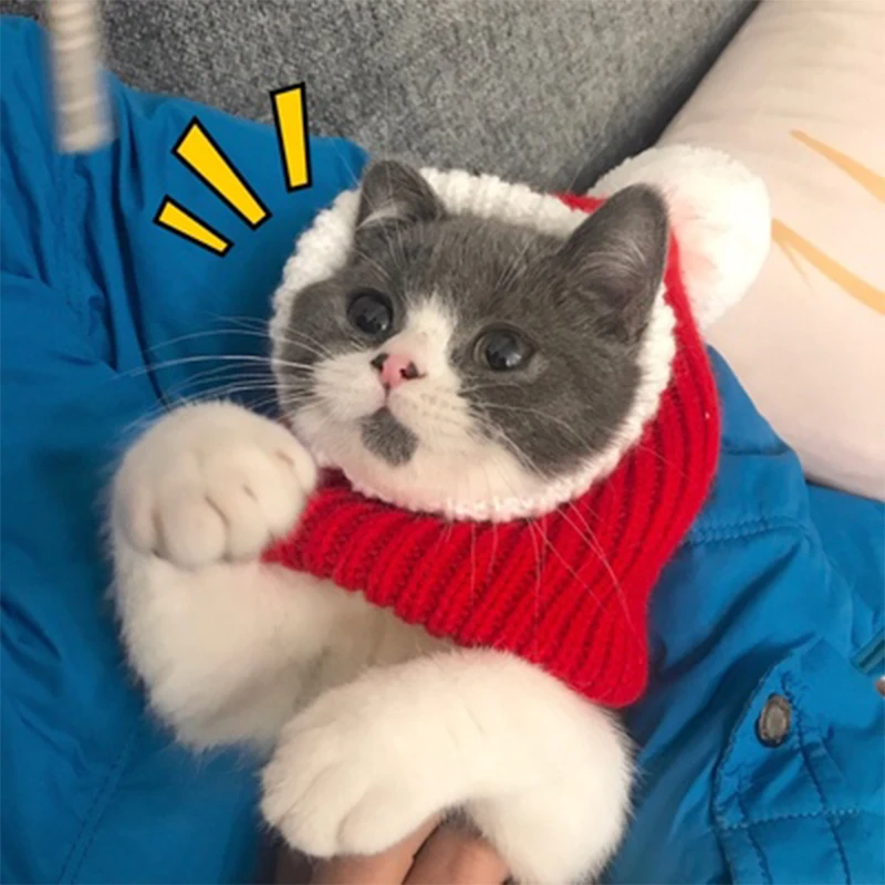 Рождественская шапка для собак вязаные шапки домашних питомцев аксессуары