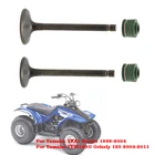 Комплект впускных и выпускных клапанов ATV для Yamaha YFA1 Breeze 1989-2004  YFM125G гризли 125 2004 2005 2006 2007-2011