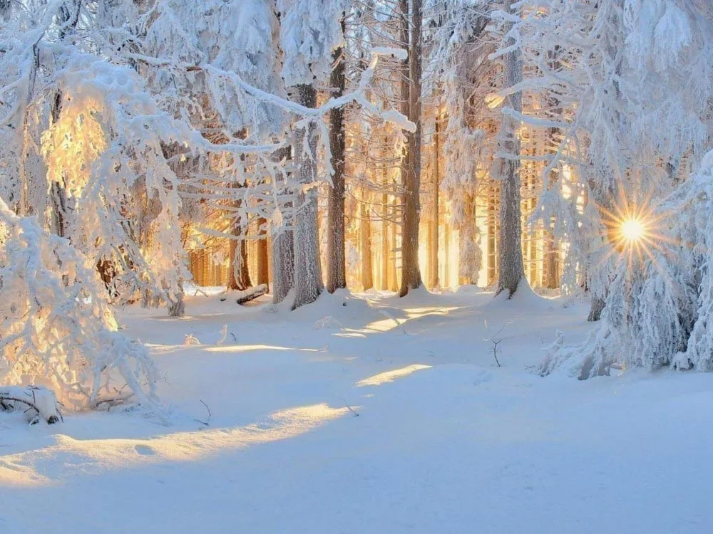 

Diamond Embroidery Winter Scenery Cross Stitch DIY Diamond Painting Landscape Rhinestone Square Full Diamond Mosaic Snow