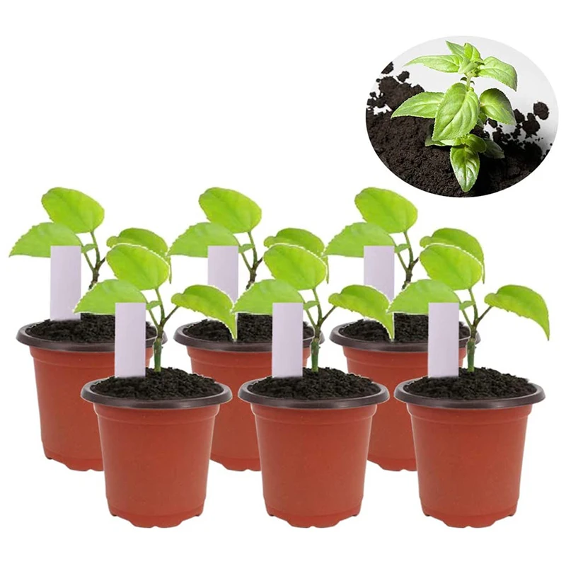 

100 Packs of 4-Inch Plastic Seedling Plant Nursery Pots with 100 Pcs Plant Label and 2 Transplant Tools