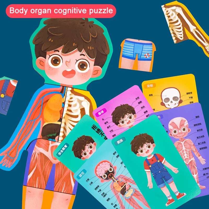 

Wooden Puzzles for Toddlers Kids Matching Game for Learning Human Body Parts Anatomy Skeleton Educational Preschool Toy LBV