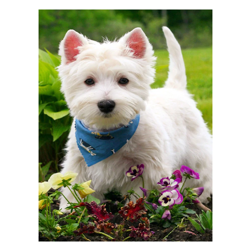 Алмазная вышивка LZAIQIZG Dog полноразмерная/круглая мозаика белый терьер крестиком