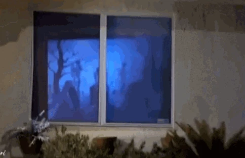 

Spooky Nights Halloween Holographic Projector Halloween Party Lights 12 Movies Window Wonderland Movie Projector Drop Shipping