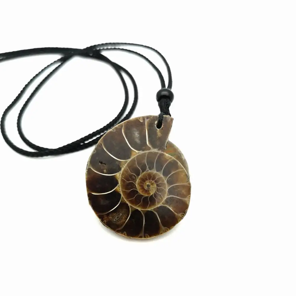 Красивый натуральный камень окаменелости аммония ракушка подвеска Улитка