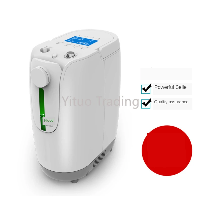 

DZ-1B Household 1L Machine Foreign Trade Oxygen Generator Portable Oxygen Machine Elderly Pregnant Women