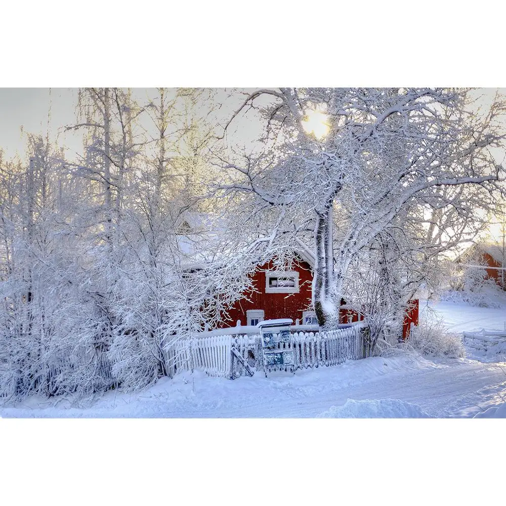

Vinyl Custom Photography Backdrops Prop Winter landscape Theme Photography Background 200309HD-03
