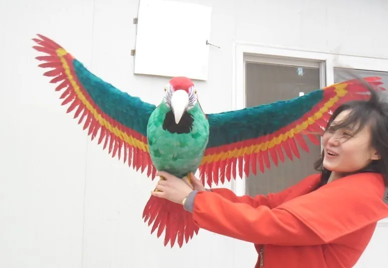 Реальная жизнь птичьи цветные перья попугай распространяющие крылья большие