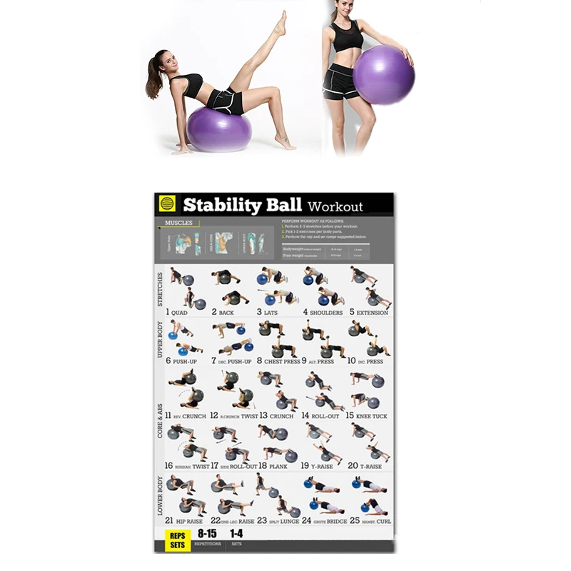 

Yoga Ball Workout Exercise Poster Stability Ball Exercise Workout Poster for Bodyweight Home Fitness