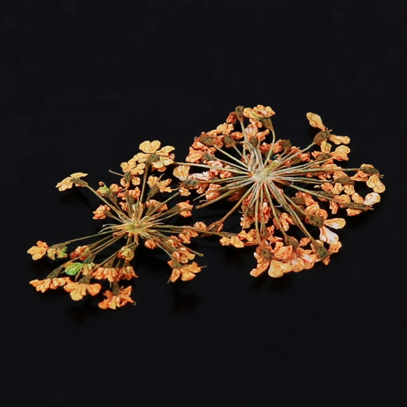 Яйцо дизайн Волшебная щётка для волос расческа Расческа распутывания головы