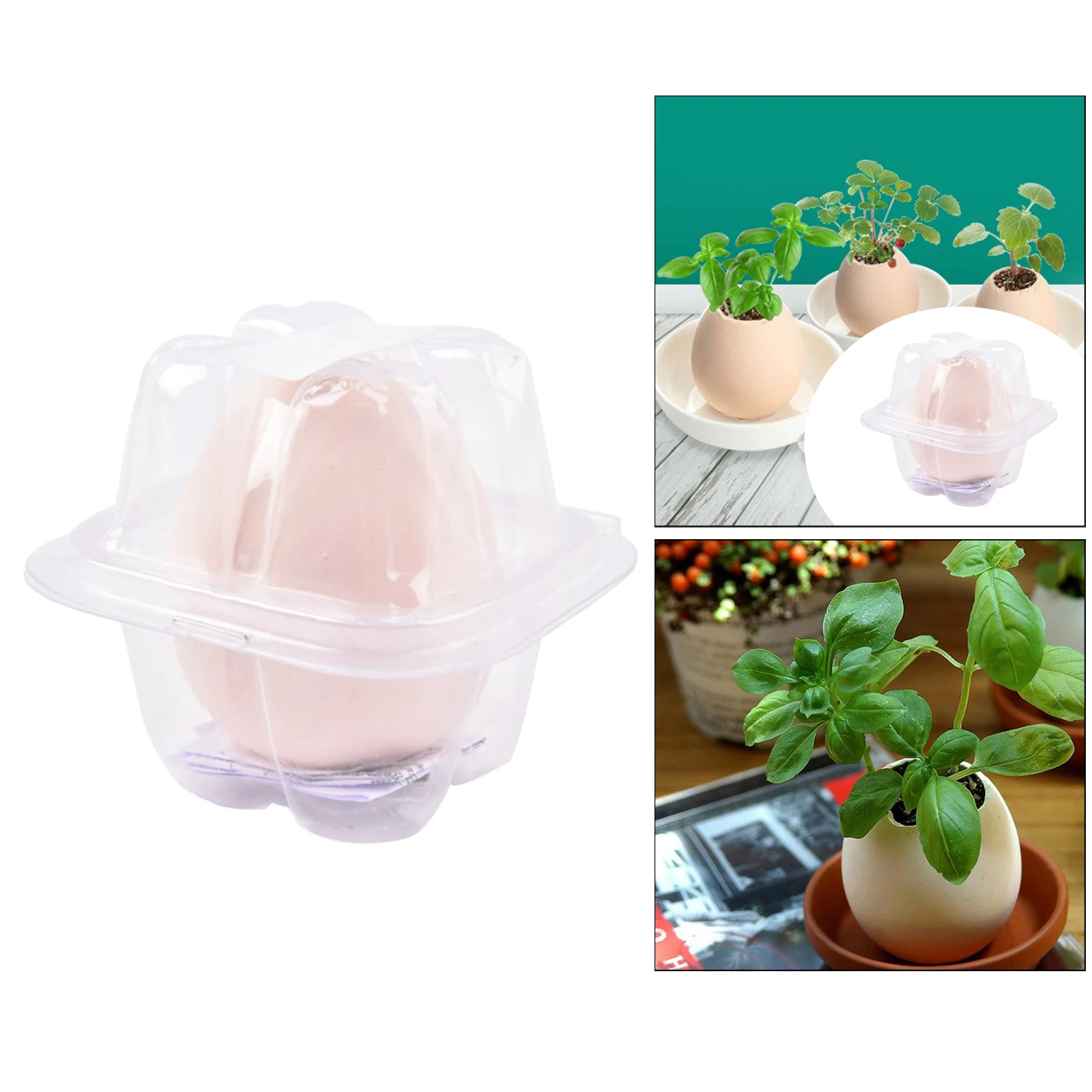 

Bonsai Potted Plant Home Table Gardening Pot for Home Decoration Kids Gift