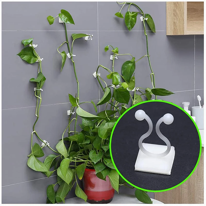 

10/20/50Pcs Invisible Wall Vines Fixture Wall Sticky Hook Vines Fixing Clip Vines Holder for Home Decoration
