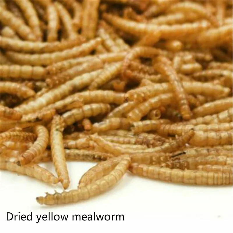 

Natural Dried Mealworm Food Meal For Feeding Pet Reptile Chickens Wild Garden Bird Aquarium Worm