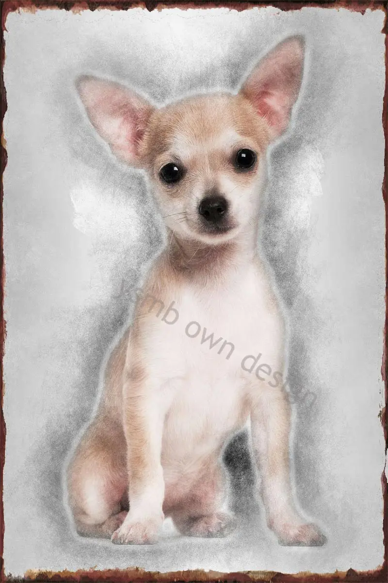 

Жестяные тарелки для чихуахуа, щенок, 3 месяца, Настенный декор, ретро, винтажный металлический знак, жестяной знак для искусства, кафе, паба, ...