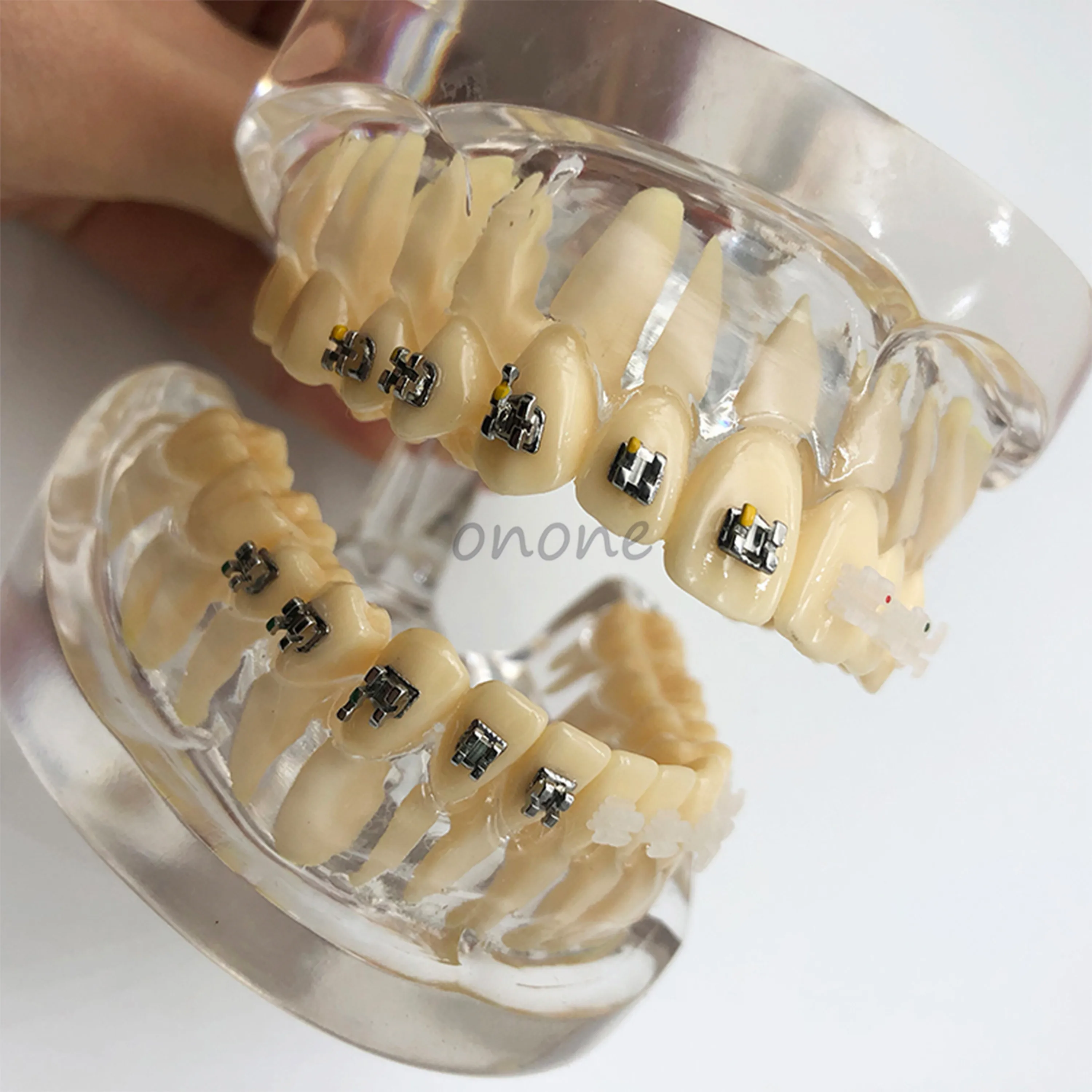 1 шт. Стоматологическая Ортодонтическая пластина для Typodont зубы модель в