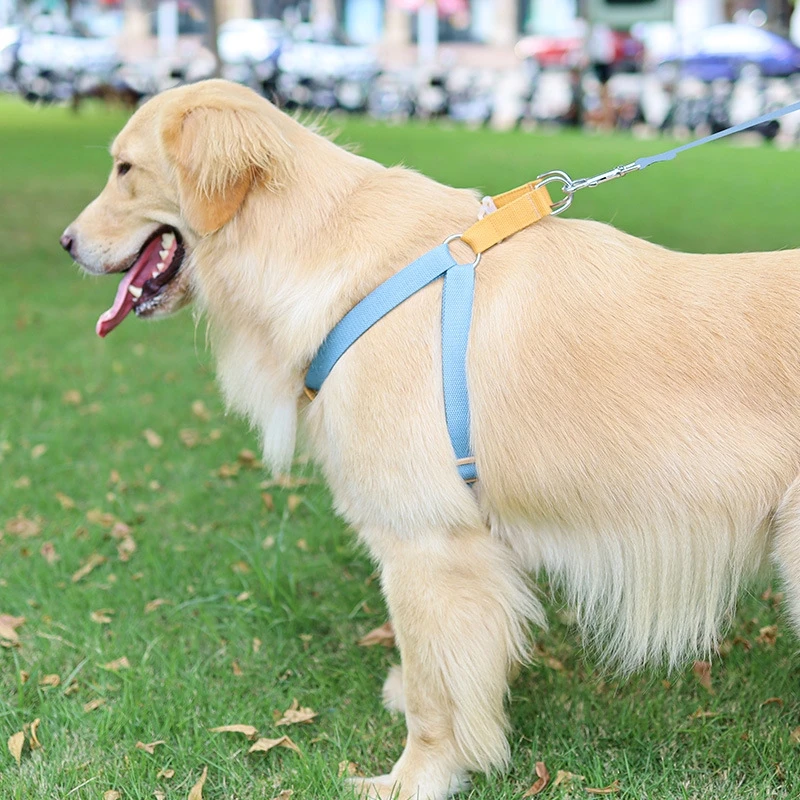 Собака Радуга поводок набор Pet поводки для щенков каната жилет нагрудный ремень