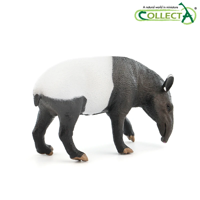 

CollectA Wildlife Malayan Tapir Classic Toys For Boys Children Animal Model 88881