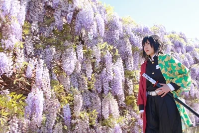 Аниме! Demon Slayer: Kimetsu no Yaiba Tomioka Giyuu Combat gear, костюм для косплея, наряд на Хэллоуин, новинка