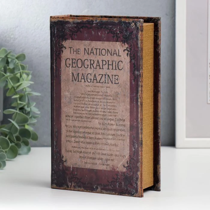 Сейф-книга дерево кожзам Национальный географический журнал 21х13х5 см 5860265 |
