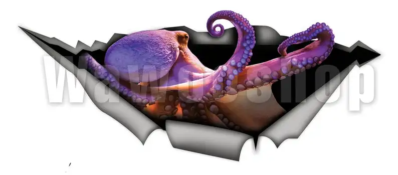 

2021 Octopus car decal, Vinyl decal, car decoration, sea decal, Octopus sticker, 3D decal