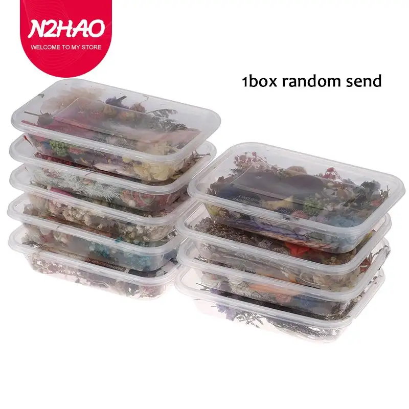 

1 Box Dried Flower Dry Plants For Aromatherapy Candle Epoxy Resin Pendant Necklace Jewelry Making Craft DIY Party Accessories