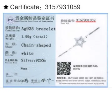 

ZEMIOR 925 Sterling Silver Bracelet For Women Shining Zircon Star Vintage Charm Bracelets Fine Jewelry Anniversary To Girlfriend