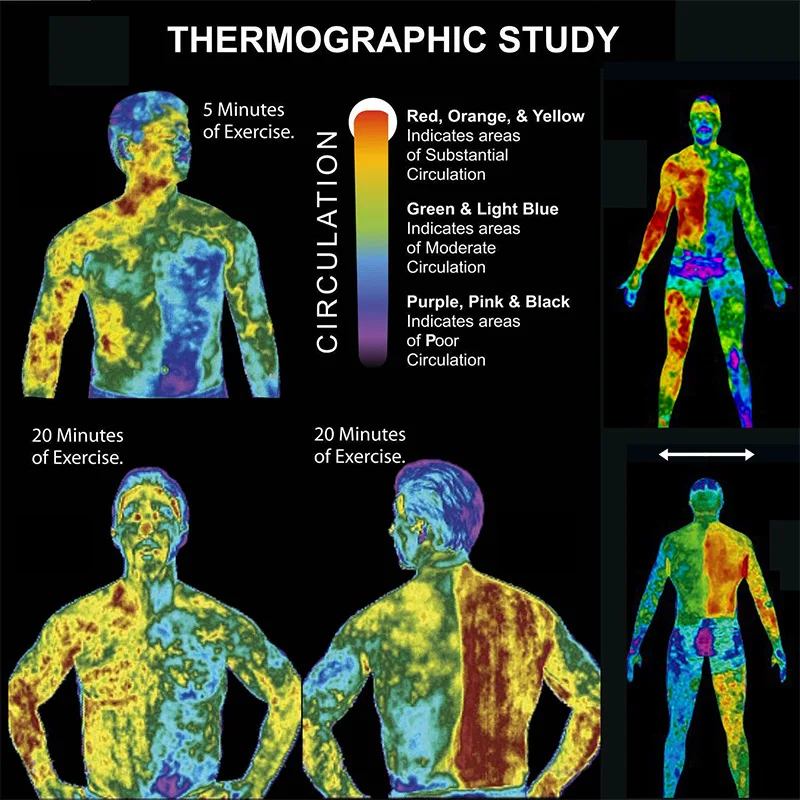60 мл мощный крем для мышц брюшной полости укрепляющий мышцы против сжигания жира