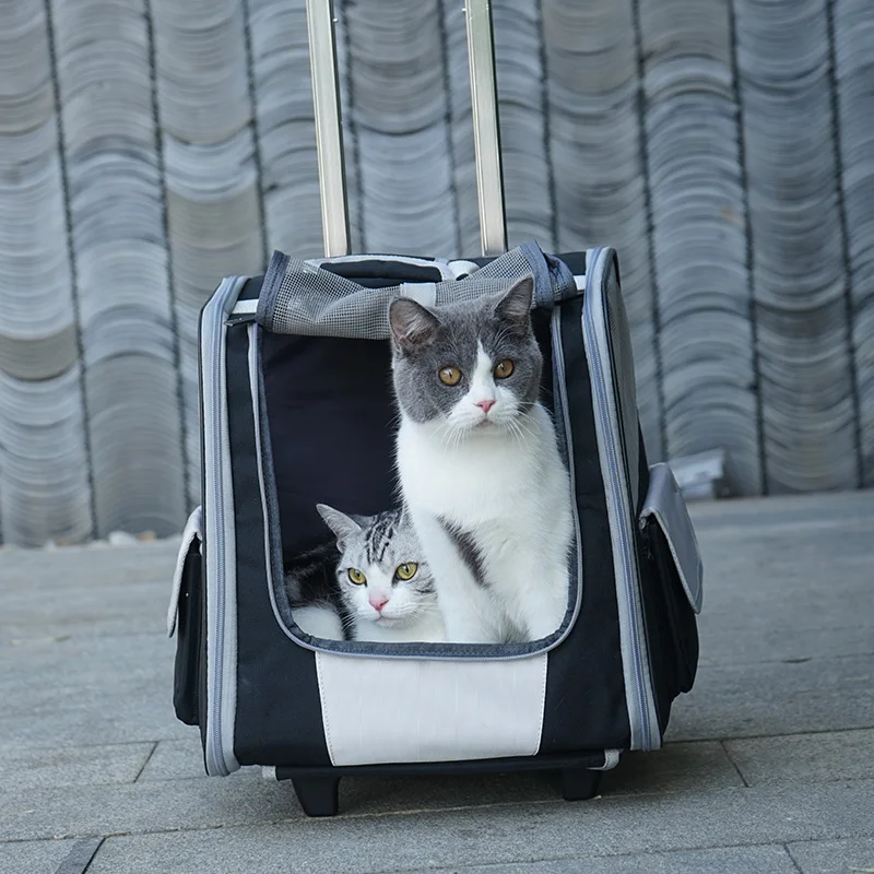 Dual-purpose cat trolley suitcase bag pet backpack cat dog out portable valise cat breathable travel luggage dog out bag