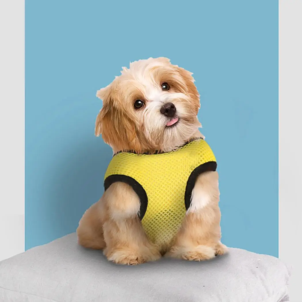 С воздухопроницаемой сеткой с изображением собаки наборы поводков регулируемые