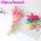 Искусственные стебли урарии пикты, натуральный материал, зайцехвостый хвост кролика, трава, сушеные цветы, букеты, 20 шт.