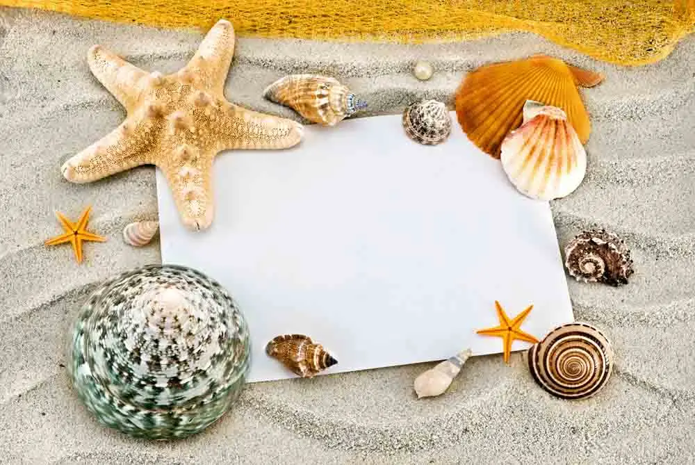 

SHENGYONGBAO Vinyl Custom Photography Prop Starfish Beach theme Photo Studio Background T19912-2112