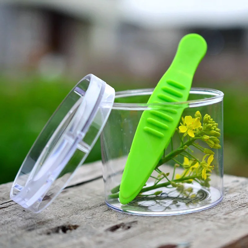 Kit de juguete de exploraci&oacute;n de naturaleza para ni&ntilde;os, herramienta de estudio de plantas e insectos, tijeras de pl&aacute;stico, pinzas de sujeci&oacute;n, cabeza redonda, Tijera con pinzas-3