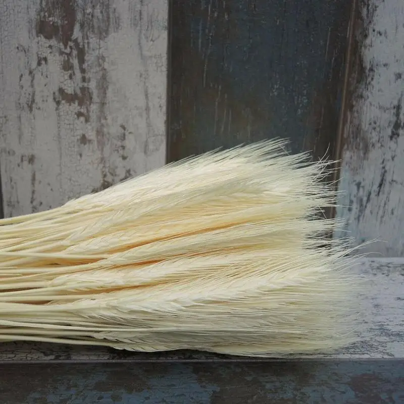 

25pcs Real Wheat Ear Flower Decoration Pampas Rabbit Party Bouquet Grass DIY Tail Scrapbook For Wedding Dried Flowers Craft G1Q5