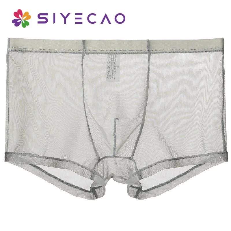 Новые сексуальные дышащие тонкие шорты-боксеры мужское Сетчатое прозрачное