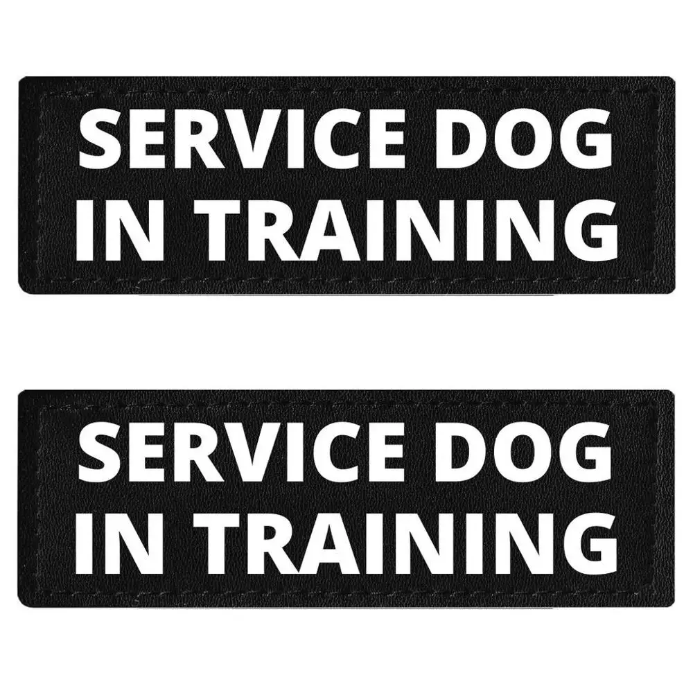 Комплект из 2 предметов с рисунком собачки жгут имя на липучке поводок для собак