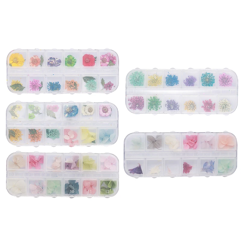 

Pressed Dried Flower Dry Plants For Epoxy UV Resin Pendant Necklace Decor DIY Jewelry Making Craft Nail Art Decoration