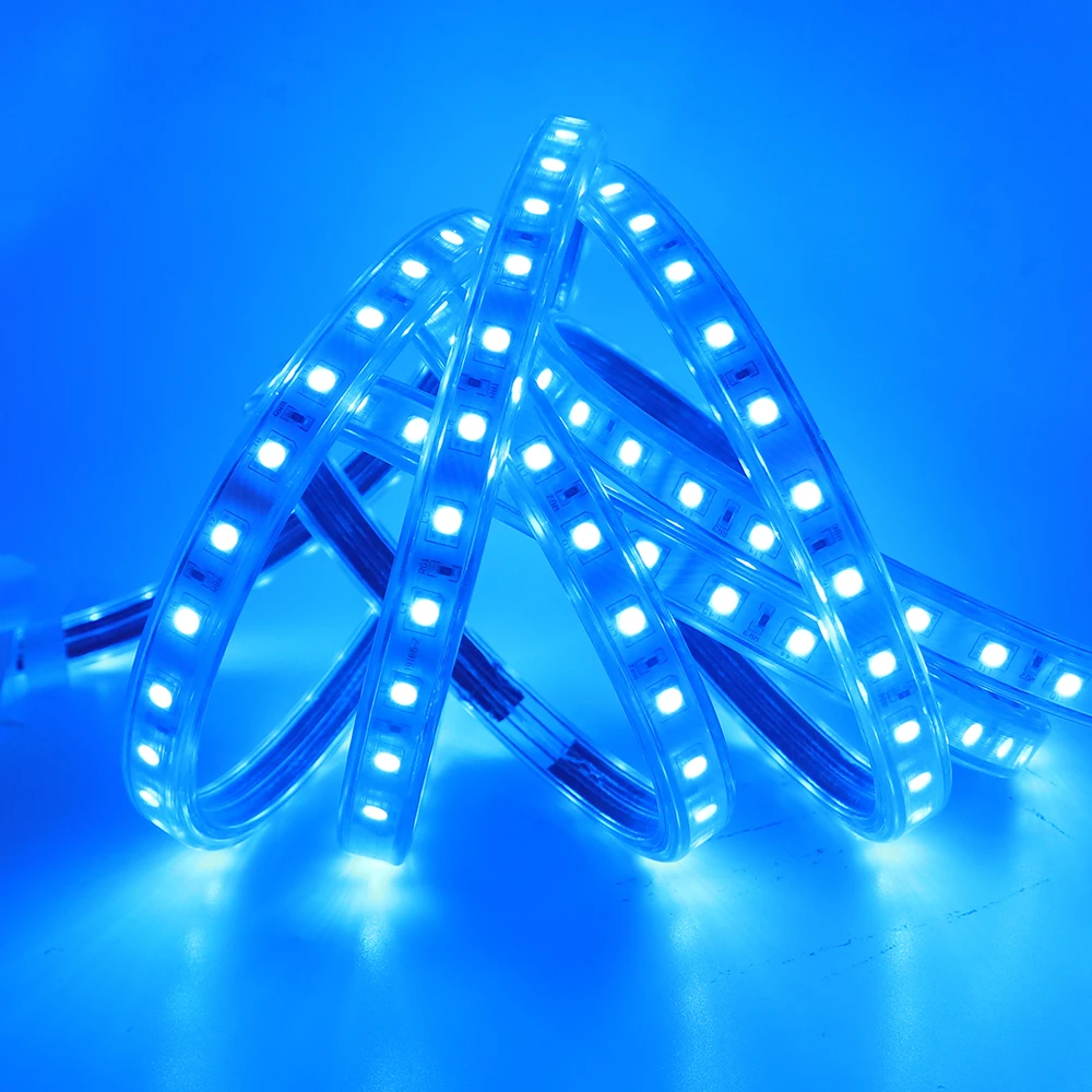 AC 110 В 220 В светодиодный светильник SMD5050 60 Светодиодный s/M гибкая светодиодная лента RGB Водонепроницаемый светодиодный светильник с Bluetooth музыкальным пультом дистанционного управления