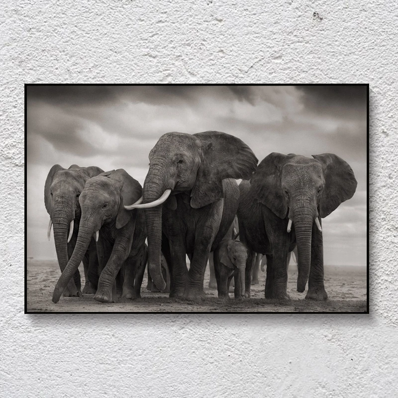 Настенные картины с изображением черных африканских слонов постеры и принты