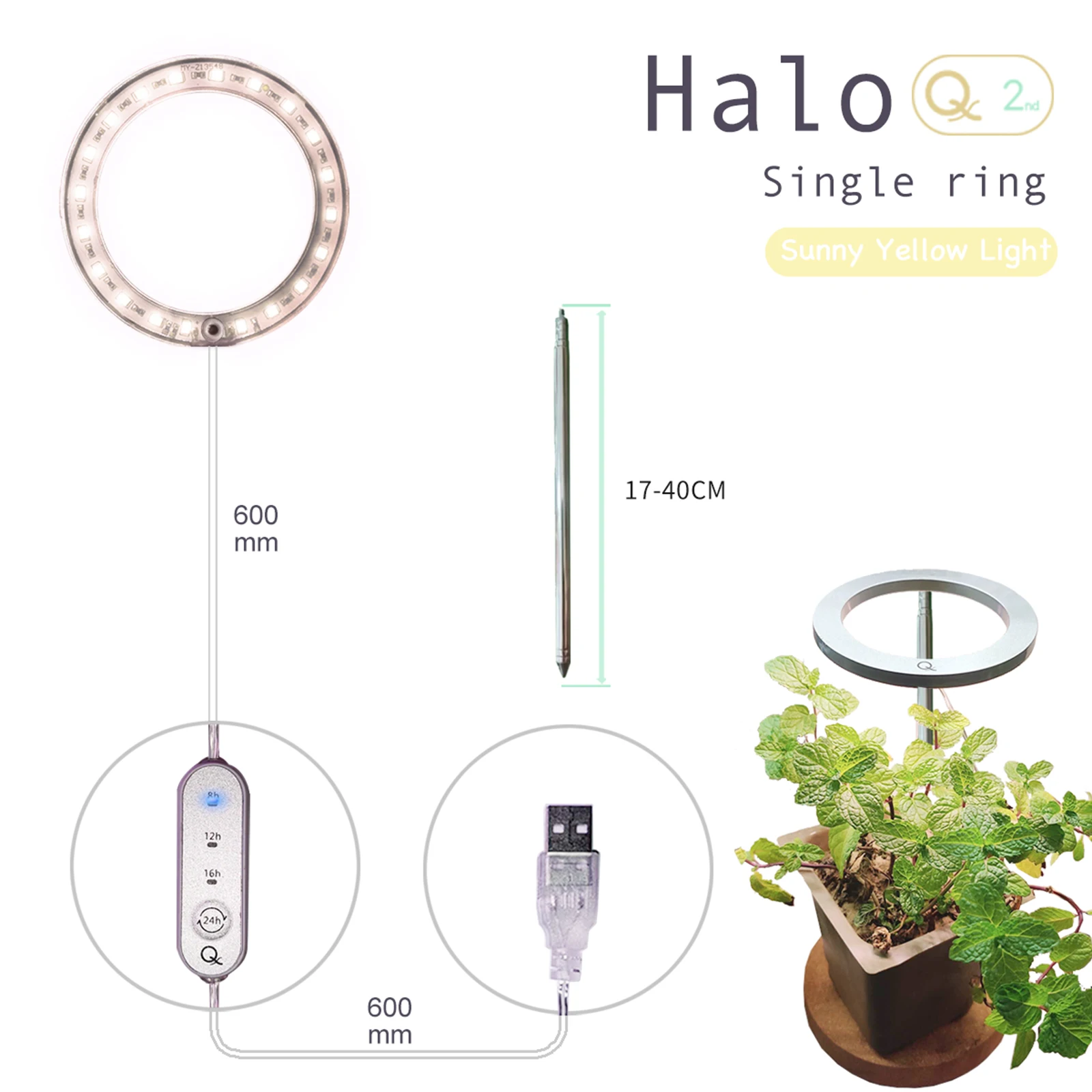 

Home Plants Grow Light Full Spectrum Small Growth Light Height Adjustable Ring Light for Indoor Plants