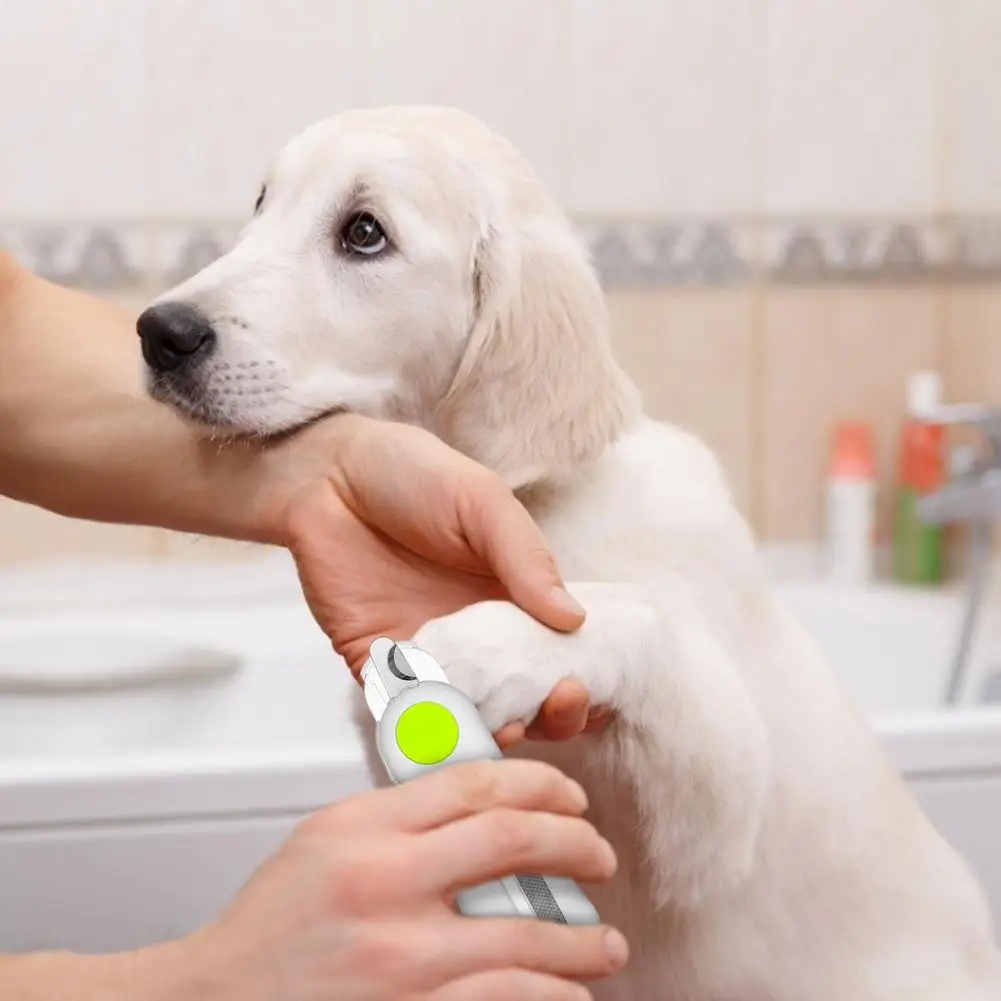 

Ножницы для стрижки домашних животных, ножницы для стрижки когтей домашних животных, собак, кошек, ножницы для стрижки когтей, триммер, инст...