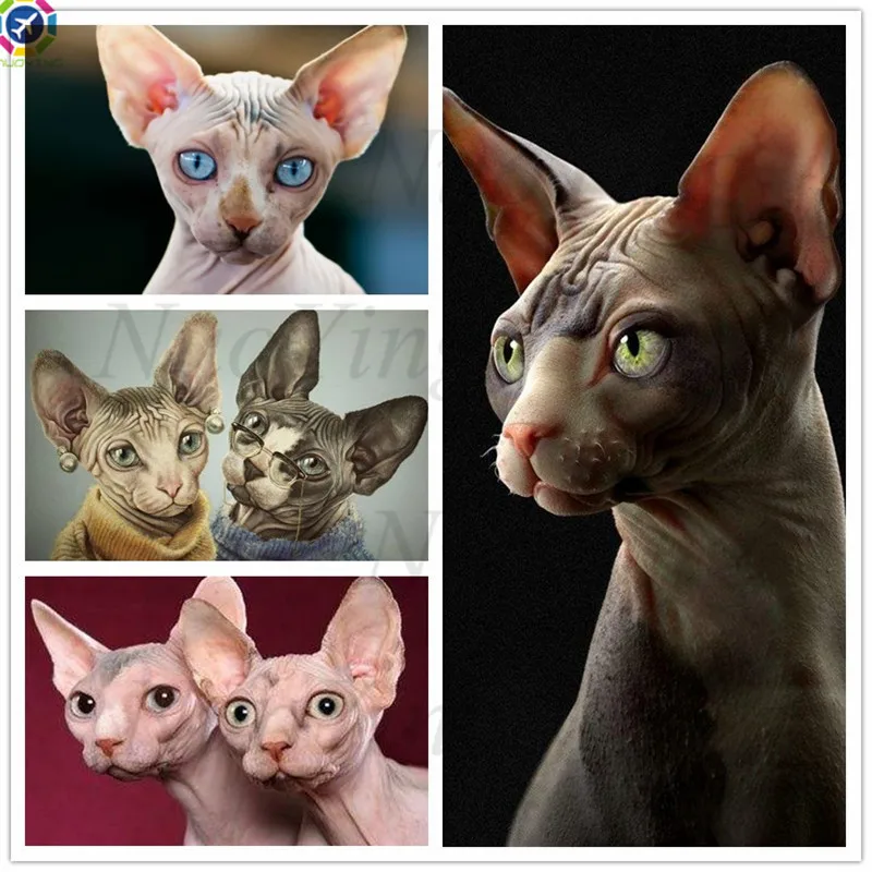 Набор для алмазной вышивки 5d крестиком с кошкой двойной вышивкой мозаика