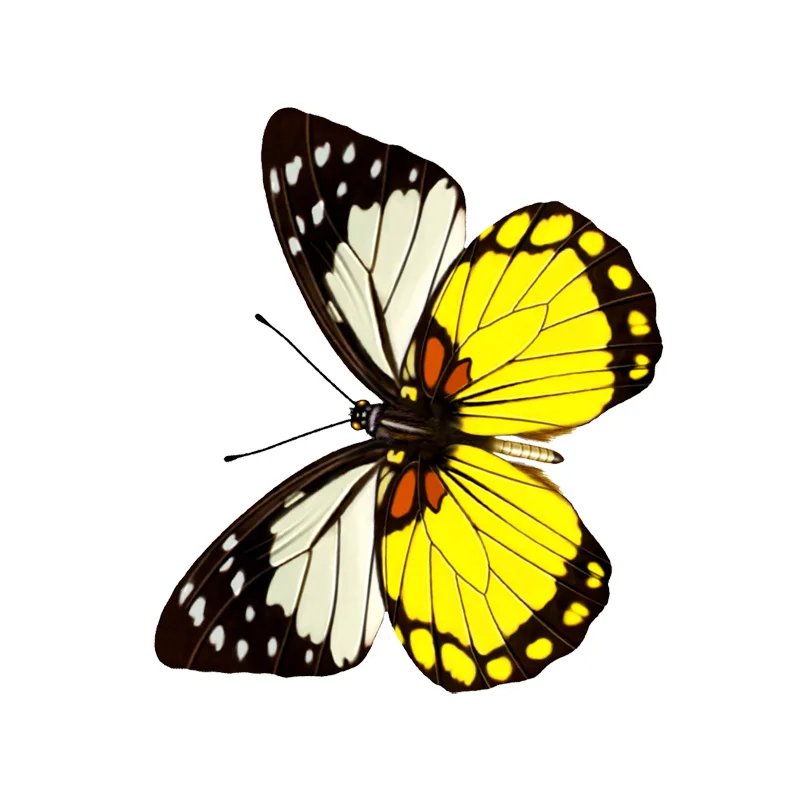 

Personality Butterfly Car Sticker Accessories Laptop Decal KK Vinyl Car Styling Cover Scratches Waterproof PVC 13cm*11cm
