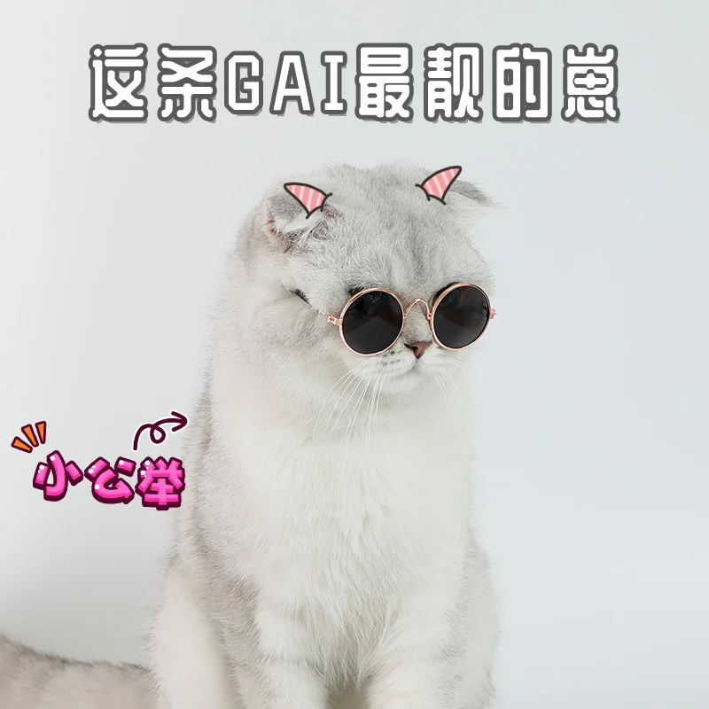 

Pet Glasses Cat Sunglasses Handsome with Small Puppy Creative Funny Fashion Dog Accessories