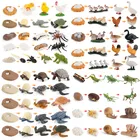 Экшн-фигурка из ПВХ, цикл роста животных, Бабочка, паук, циклы жизни, Обучающие игрушки, подарок на Рождество