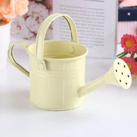 gardening water pot watering can spray bottle with handle portable metal wrought iron sprinkled shower